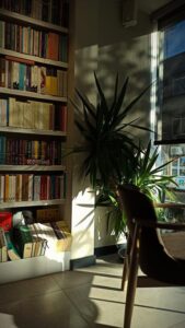 Tips for Creating a Cozy Reading Nook in Your Home